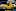 Yellow Sole.avif
